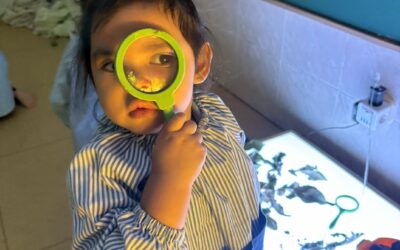 Puertas abiertas 2026